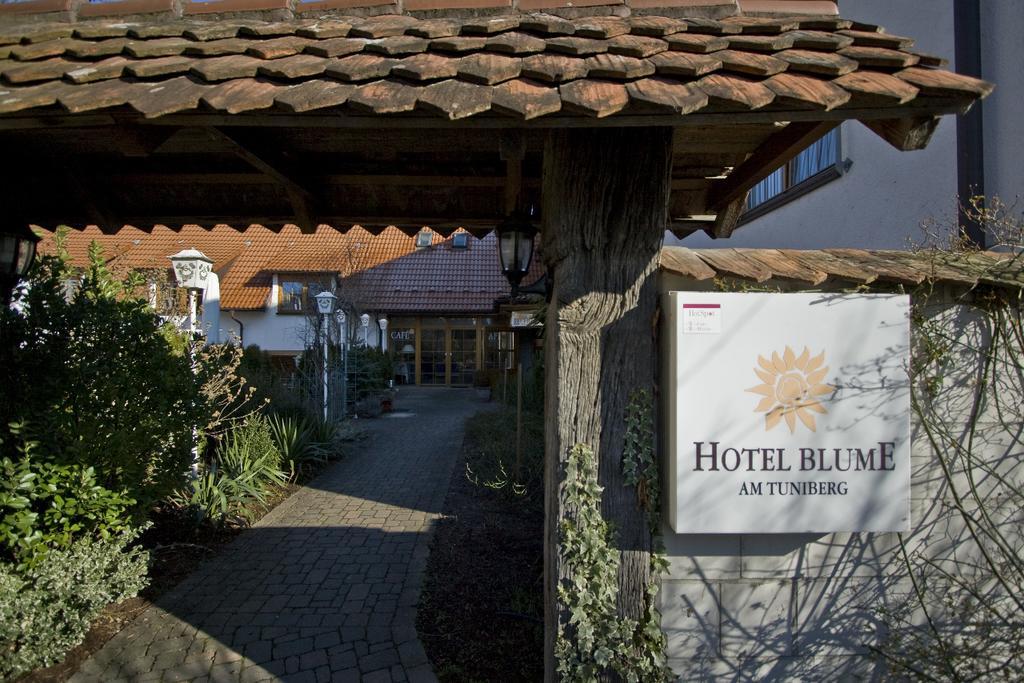 Hotel Blume Freiburg im Breisgau Eksteriør bilde